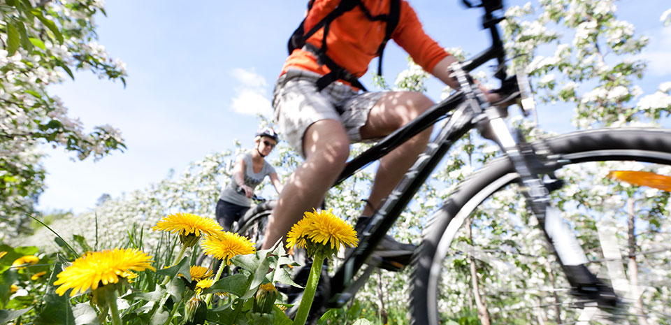 Radfahren im Unterland